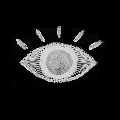 Video Art
